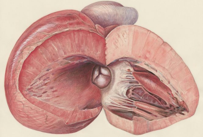 europeana-dMhmY7lTHqM-unsplash