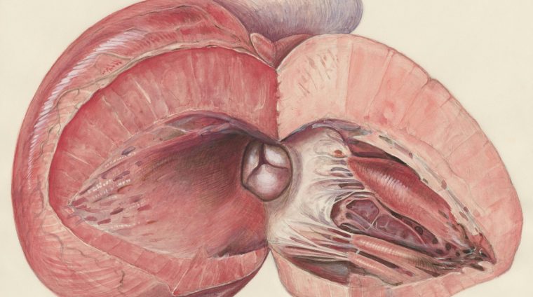 europeana-dMhmY7lTHqM-unsplash