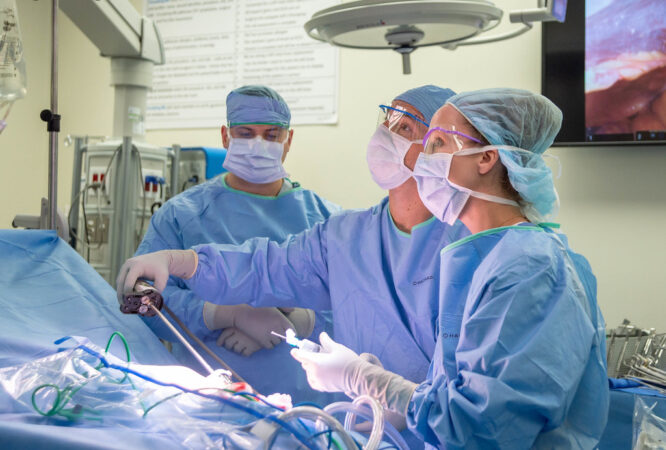 Naval Medical Center San Diego’s (NMCSD) Urology department, conducts a pyloplasty procedure using a robotic surgical system